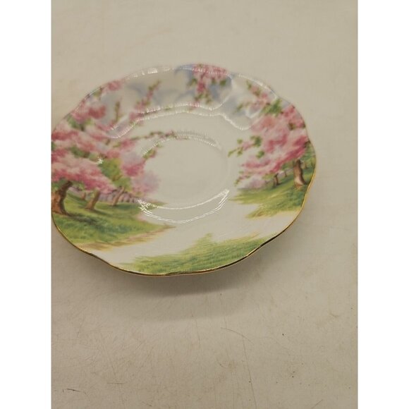 Royal Albert Bone China Blossom Time 1 Cup & Saucer Set  c.1933-01 Vtge  England - Picture 4 of 7